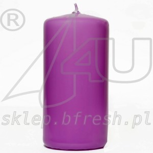 świeca walec wrzosowa 120x58