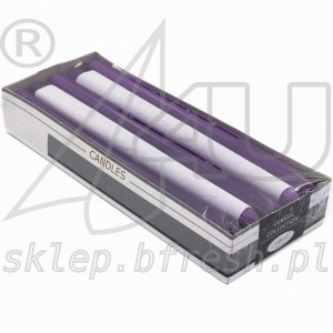 Świece stożkowe jagodowa przygoda 10 szt