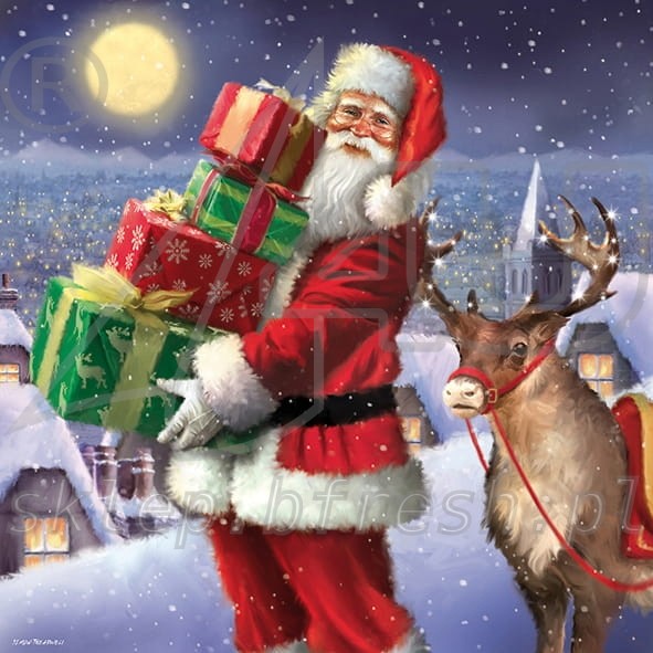 Serwetki papierowe Boże Narodzenie 33 x 33 cm 3w BN-124