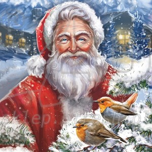 Serwetki papierowe Boże Narodzenie 33 x 33 cm 3w BN-106