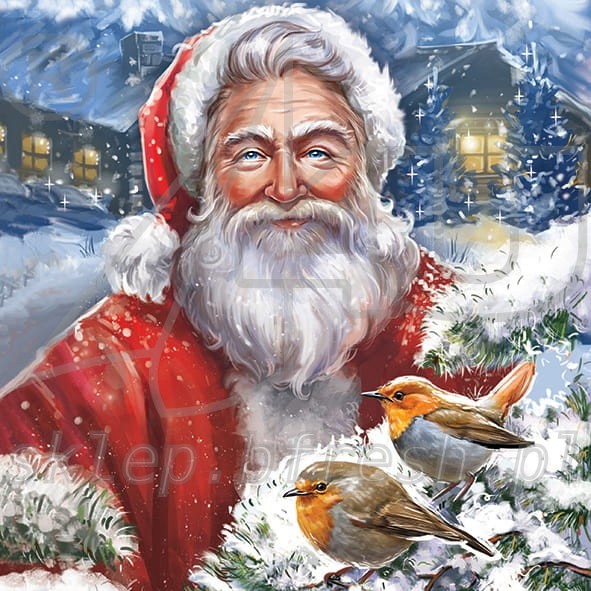 Serwetki papierowe Boże Narodzenie 33 x 33 cm 3w BN-106