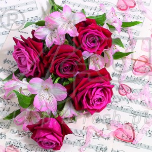 Serwetki papierowe 33x33 cm 3w Kwiaty KW-115.jpg