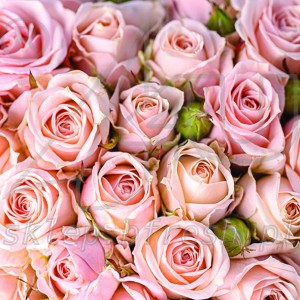 Serwetki papierowe 33x33 cm 3w Kwiaty KW-121.jpg