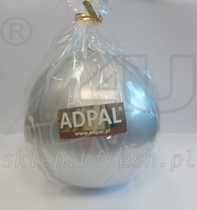 KULA 100 SREBRNA.jpg