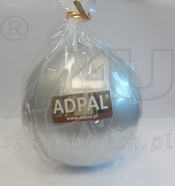 KULA 100 SREBRNA.jpg