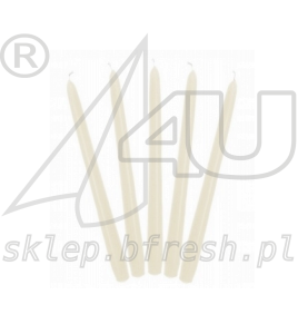 Screenshot 2024-01-29 at 15-24-27 ŚWIECZKI stożkowe matowe świece 10szt ECRU.png