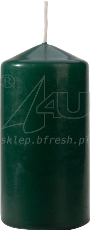 120-60 BUTELOWA ZIELEN.jpg