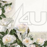 Serwetki papierowe 33x33 3w Kwiaty KW-118 - 20szt 