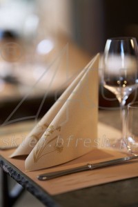 Serwetki flizelinowe Bio-Dunisoft 40 x 40 cm Meadow Natura