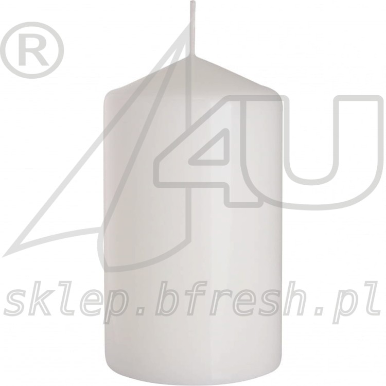 ŚWIECE bryłowe pieńkowe BIAŁE 120/70 mm 6 SZT. BISPOL