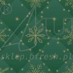 Serwetki flizelinowe Bio-Dunisoft 40 x 40 cm Rhombus Zielony 60 szt