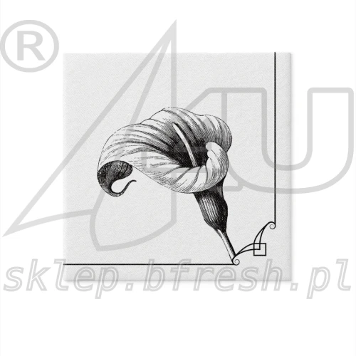 serwetki-konsolacja-stypa-czarna-kalia-40x40.webp