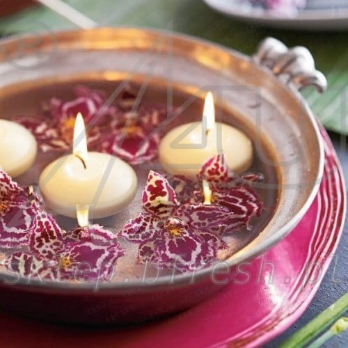 Świece Pływające Kremowe - Ecru 20szt Bolsius