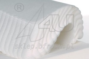 Serwetki Gastronomiczne 17X17 cm Ząbkowane (400 szt. x 15op.)