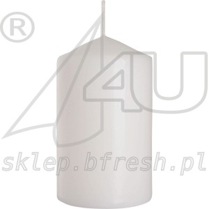 ŚWIECA BRYŁOWA PIEŃKOWA BIAŁE 60/100 mm 6 SZT.